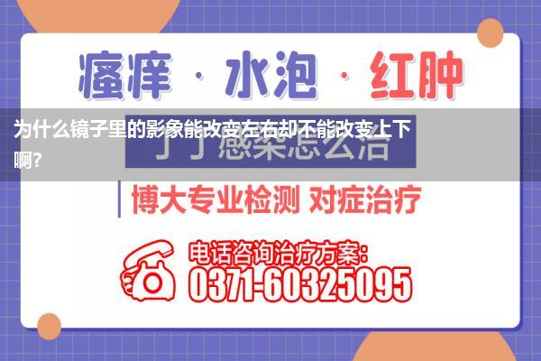 为什么镜子里的影象能改变左右却不能改变上下 啊?